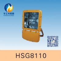 HSG8110 / BFC8110防爆泛光燈